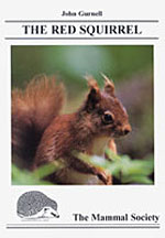 THE RED SQUIRREL