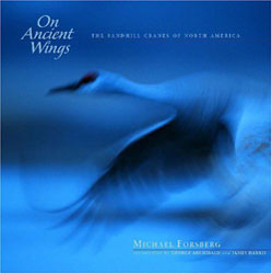 ON ANCIENT WINGS 1