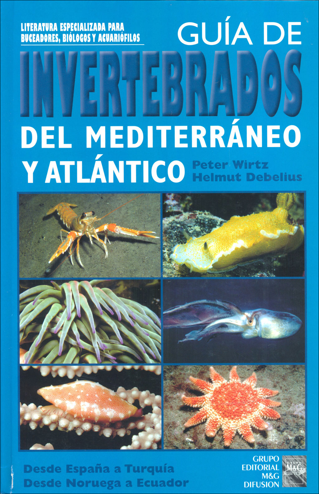 GUÍA DE INVERTEBRADOS DEL MEDITERRÁNEO Y ATLÁNTICO. DESDE ESPAÑA A TURQUÍA DESDE NORUEGA A ECUADOR 1