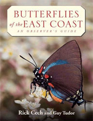 BUTTERFLIES OF THE EAST COAST. AN OBSERVER'S GUIDE 1