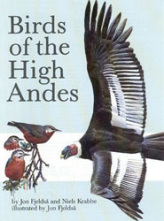 BIRDS OF THE HIGH ANDES