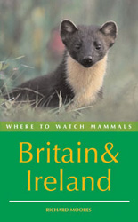 WHERE TO WATCH MAMMALS IN BRITAIN AND IRELAND 1