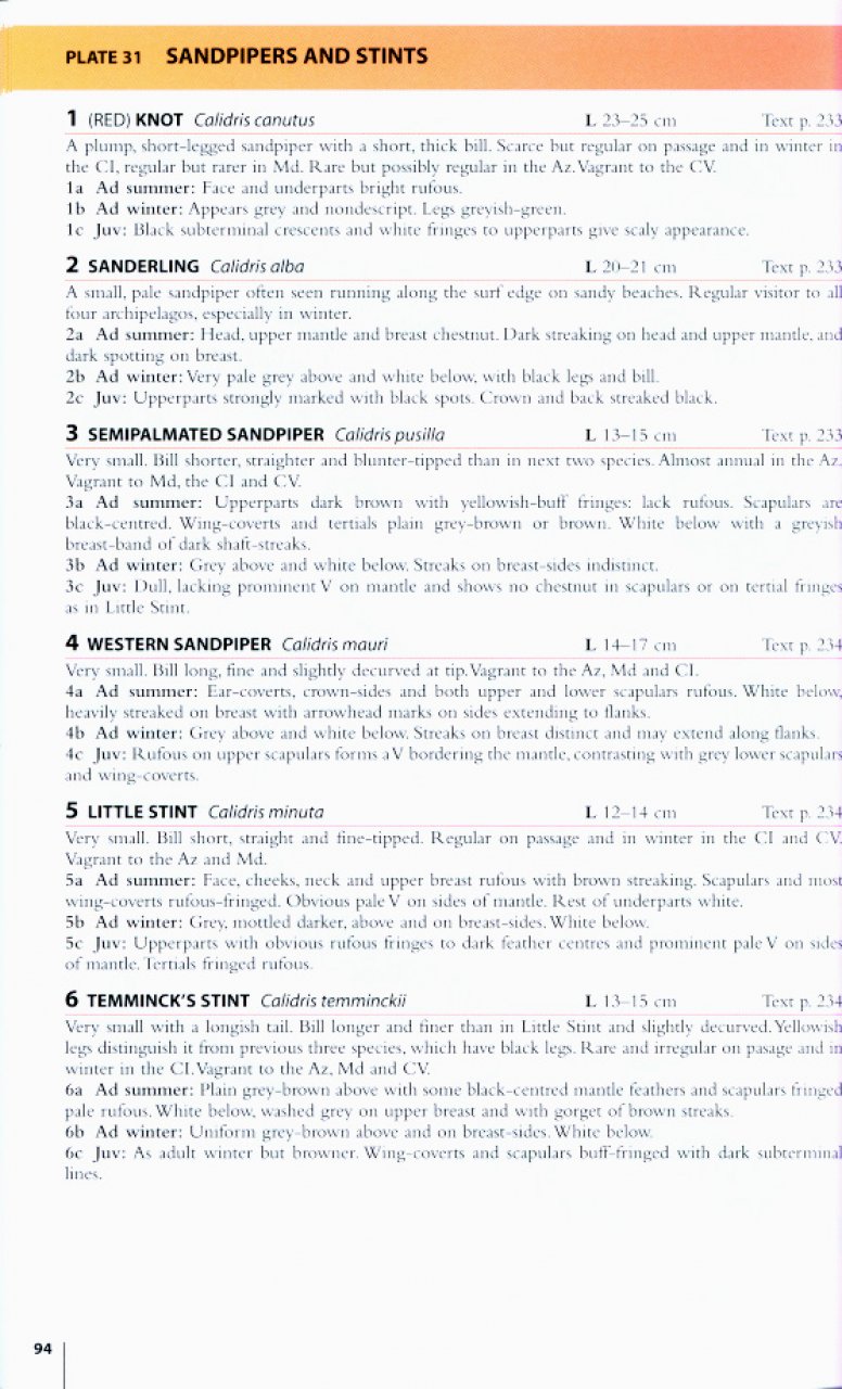 HELM FIELD GUIDES. BIRDS OF THE ATLANTIC ISLANDS. CANARY ISLANDS, MADEIRA, AZORES, CAPE VERDE 2