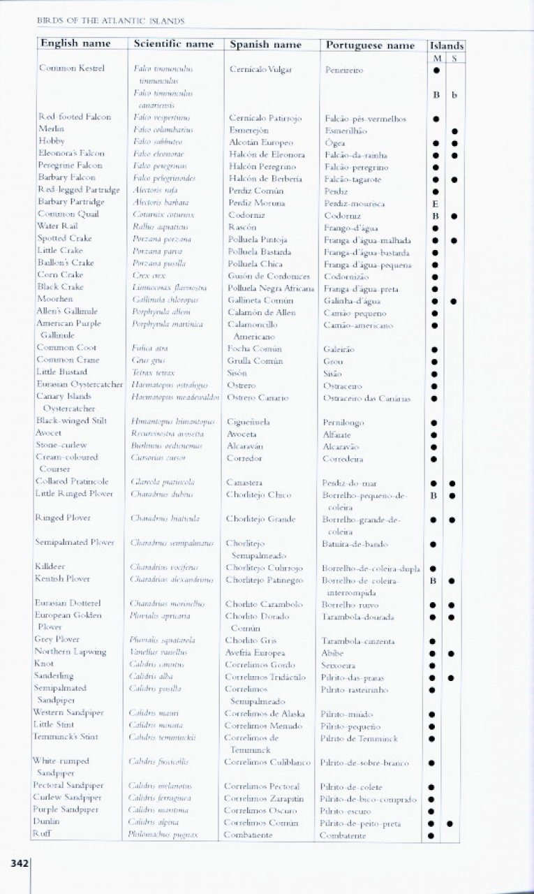 HELM FIELD GUIDES. BIRDS OF THE ATLANTIC ISLANDS. CANARY ISLANDS, MADEIRA, AZORES, CAPE VERDE 4