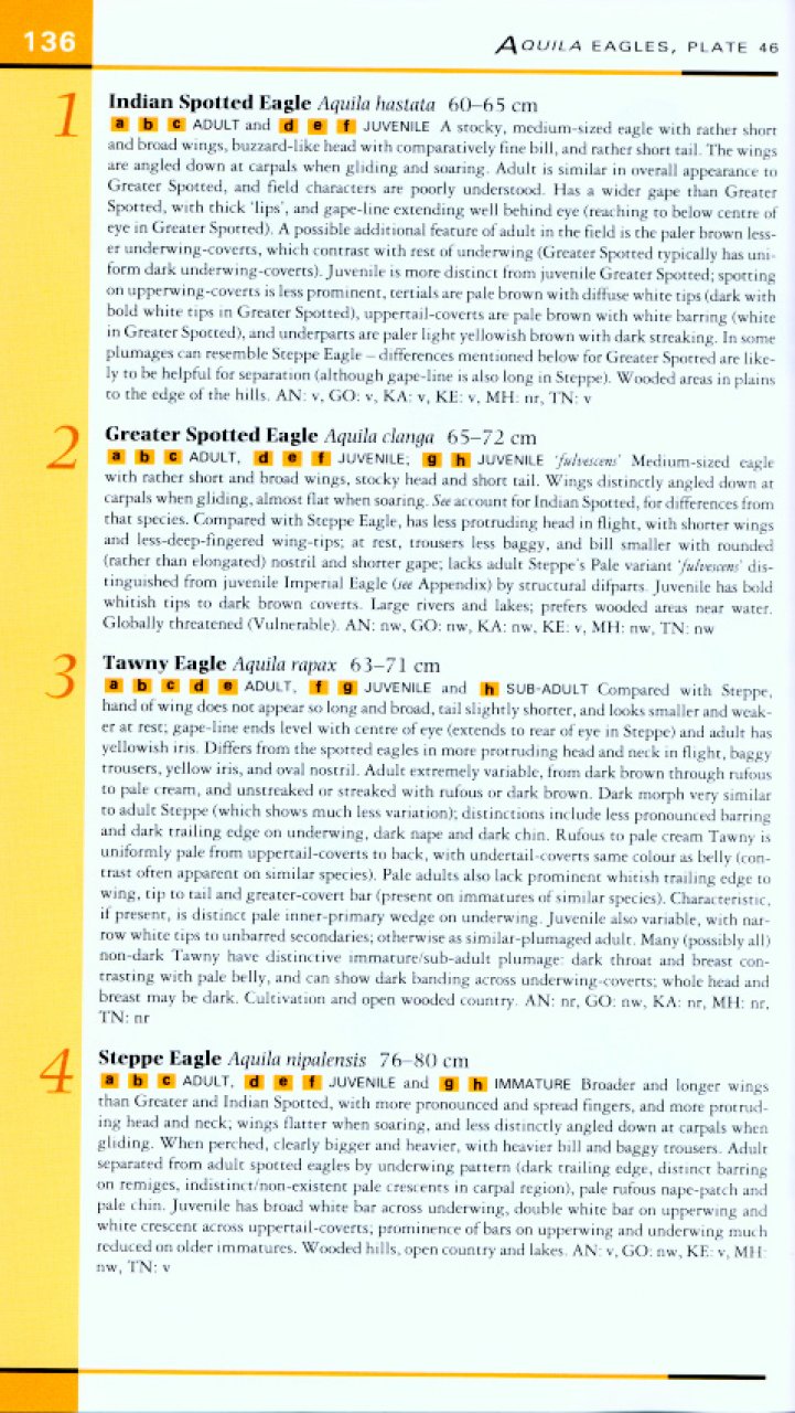 HELM FIELD GUIDES. BIRDS OF SOUTHERN INDIA 3