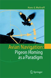 AVIAN NAVIGATION: PIGEON HOMING AS A PARADIGM