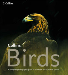 COLLINS BIRDS. A COMPLETE PHOTOGRAPHIC GUIDE TO ALL BRITISH AND EUROPEAN SPECIES