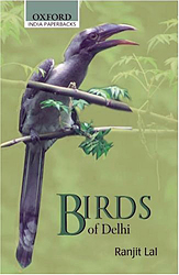 OXFORD INDIA PAPERBACKS. BIRDS OF DELHI