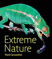 EXTREME NATURE 1