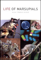 LIFE OF MARSUPIALS