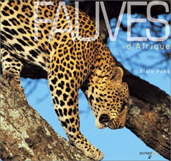 FAUVES D'AFRIQUE 1