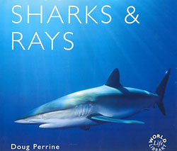 WORLD LIFE LIBRARY. SHARKS & RAYS