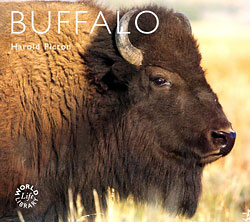 WORLD LIFE LIBRARY. BUFFALO