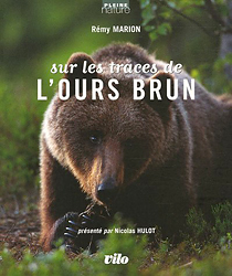 SUR LES TRACES DE L'OURS BRUN