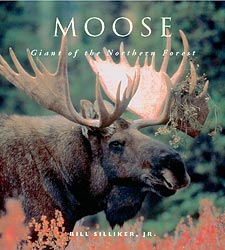 MOOSE. GIANT OF THE NORTHERN FOREST 1