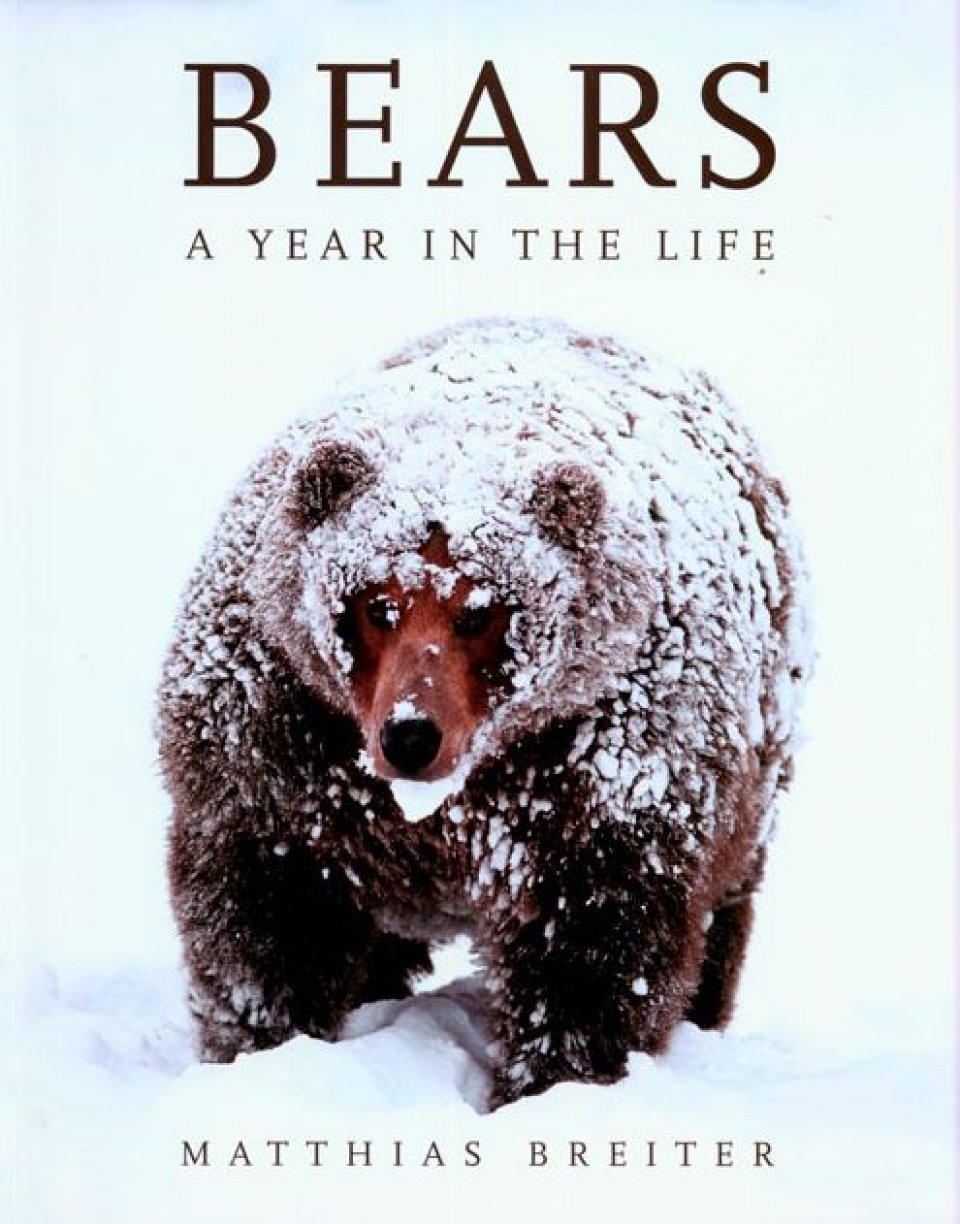 BEARS. A YEAR IN THE LIFE