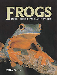 FROGS INSIDE THEIR REMARKABLE WORLD