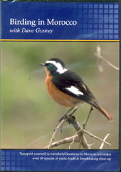 DVD BIRDING IN MOROCCO WITH DAVE GOSNEY