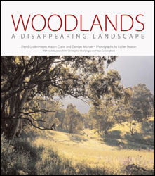 WOODLANDS. A DISAPPEARING LANDSCAPE