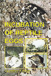 INCUBATION OF REPTILE EGGS. BASICS, GUIDELINES, EXPERIENCES