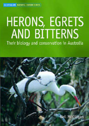 HERONS, EGRETS AND BITTERNS