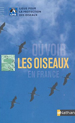 OÙ VOIR LES OISEAUX EN FRANCE 1