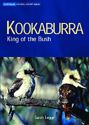 KOOKABURRA: KING OF THE BUSH