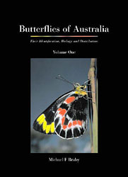 BUTTERFLIES OF AUSTRALIA: THEIR IDENTIFICATION, BIOLOGY AND DISTRIBUTION (SET DOS VOLÚMENES) 1