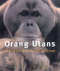 ORANGUTANS AND THEIR BATTLE FOR SURVIVAL 1