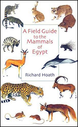 A FIELD GUIDE TO THE MAMMALS OF EGYPT 1
