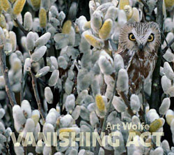 ART WOLFE. VANISHING ACT 1