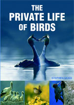 THE PRIVATE LIFE OF BIRDS