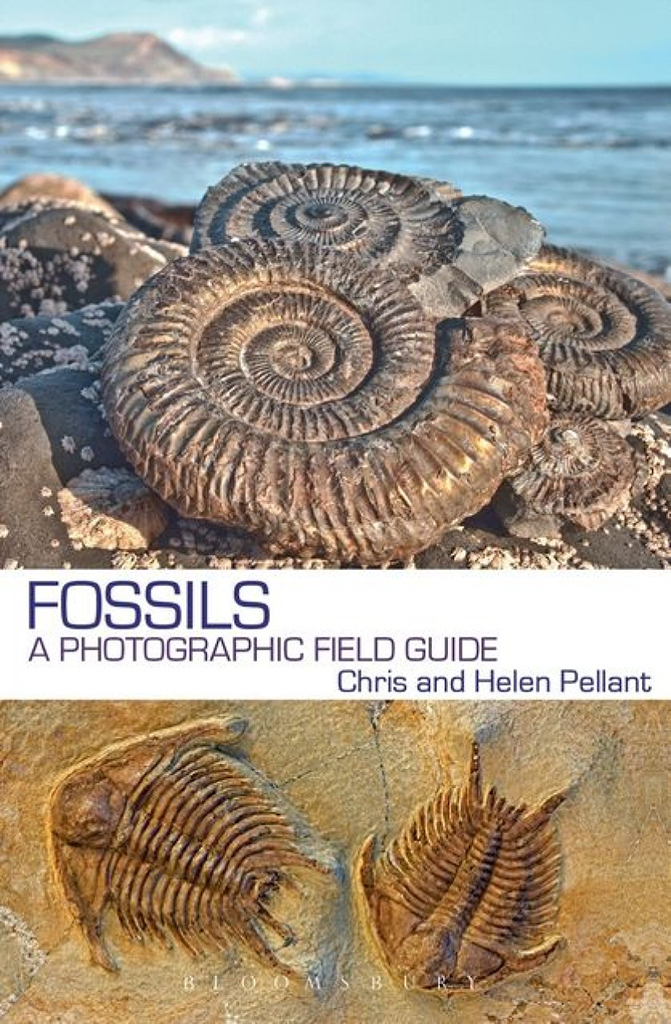 FOSSILS: A PHOTOGRAPHIC FIELD GUIDE