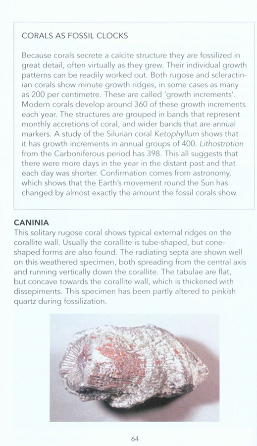 FOSSILS: A PHOTOGRAPHIC FIELD GUIDE 2