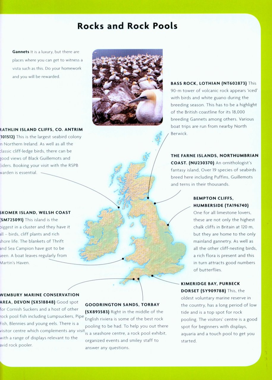 NICK BAKER'S BRITISH WILDLIFE: A MONTH BY MONTH GUIDE 3