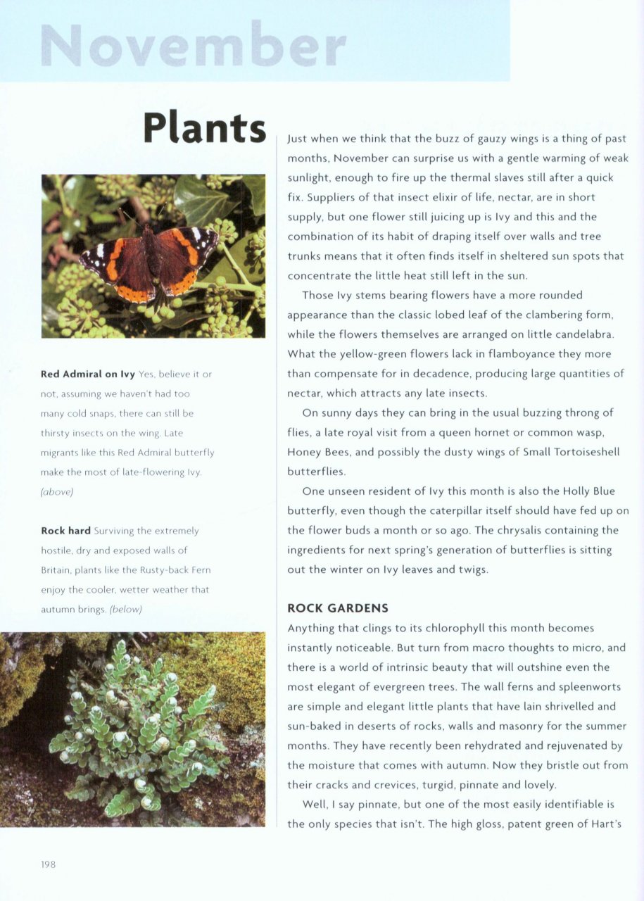NICK BAKER'S BRITISH WILDLIFE: A MONTH BY MONTH GUIDE 5