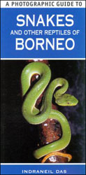 A PHOTOGRAPHIC GUIDE TO SNAKES & OTHER REPTILES OF BORNEO