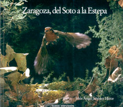 ZARAGOZA, DEL SOTO A LA ESTEPA 2