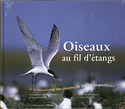 OISEAUX AU FIL D'ETANGS. A LA DÉCOUVERTE DES OISEAUX DU LITTORAL LANGUEDOCIEN 1