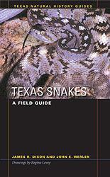 A FIELD GUIDE TEXAS SNAKES