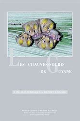 LES CHAUVES-SOURIS DE GUYANE 1