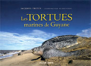 LES TORTUES MARINES DE GUYANE 1