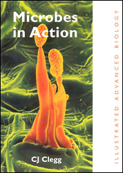 MICROBES IN ACTION. ILLUSTRATED ADVANCED BIOLOGY 1