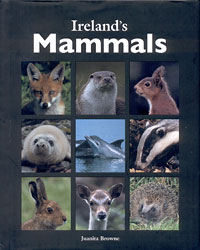 IRELAND'S MAMMALS 1