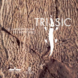 TRIÀSIC, EL LABERINTODONT DEL MONTSENY 1