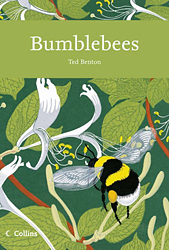 BUMBLEBEES 1