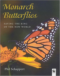 MONARCH BUTTERFLIES. SAVING THE KING OF THE NEW WORLD