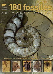 180 FOSSILES DU MONDE ENTIER 1