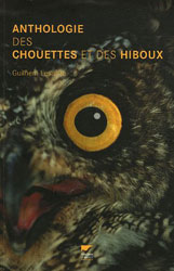 ANTHOLOGIE DES CHOUETTES ET DES HIBOUX 1