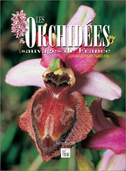 LES ORCHIDÉES SAUVAGES DE FRANCE 1